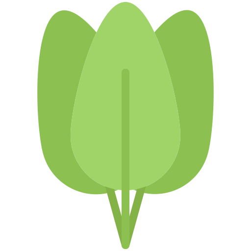 Spinach icon