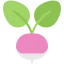 Radish icon 64x64