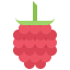 Raspberries icon 64x64