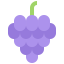 Grapes icon 64x64