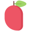 Mango icon 64x64
