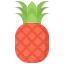 Pineapple icon 64x64