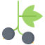Blackcurrant icon 64x64