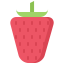 Strawberry icon 64x64