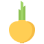 Onion icon 64x64