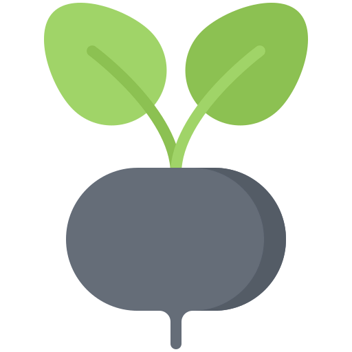 Radish icon
