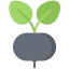 Radish icon 64x64