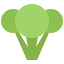 Broccoli icon 64x64