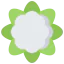 Cauliflower icon 64x64