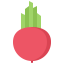 Beet icon 64x64