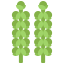 Brussels sprouts icon 64x64