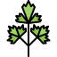 Parsley icon 64x64