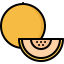 Melon icon 64x64