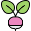 Radish icon 64x64
