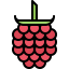 Raspberries icon 64x64