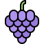 Grapes icon 64x64