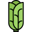Cabbage icon 64x64
