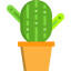 Cactus icon 64x64