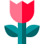 Flower 图标 64x64