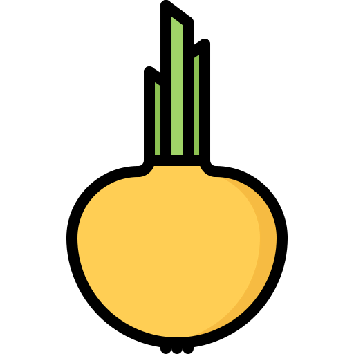 Onion icon