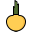 Onion icon 64x64