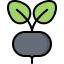 Radish icon 64x64