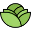 Cabbage icon 64x64