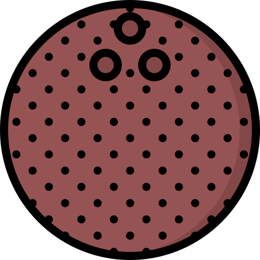 Coconut icon