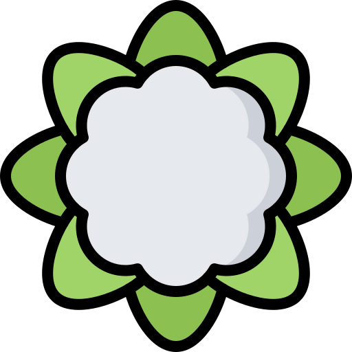 Cauliflower icon