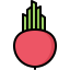 Beet icon 64x64