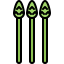 Asparagus icon 64x64