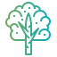 Birch icon 64x64