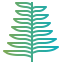 Fern 图标 64x64