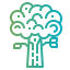 Oak іконка 64x64
