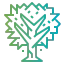 Maple icon 64x64