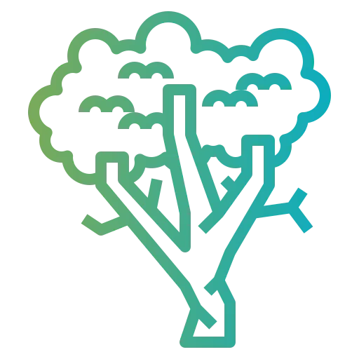 Sycamore icon