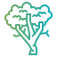 Sycamore icon 64x64