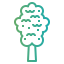Elm icon 64x64