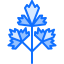 Parsley icon 64x64