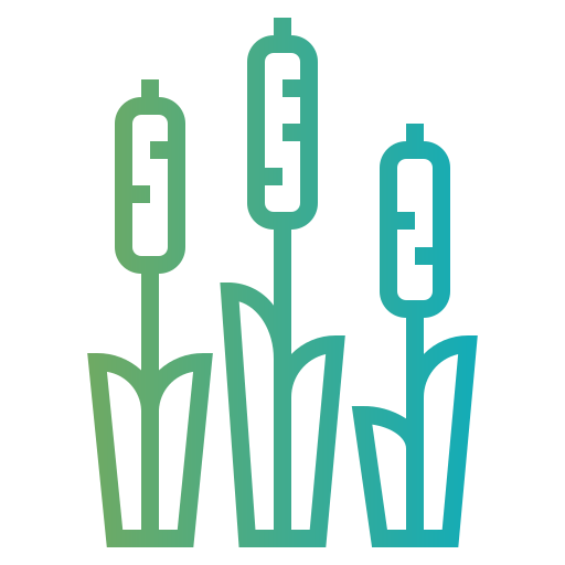 Cattail icon
