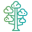 Sequoia icon 64x64