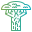 Baobab icon 64x64