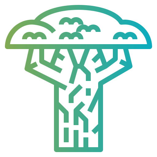 Baobab icon