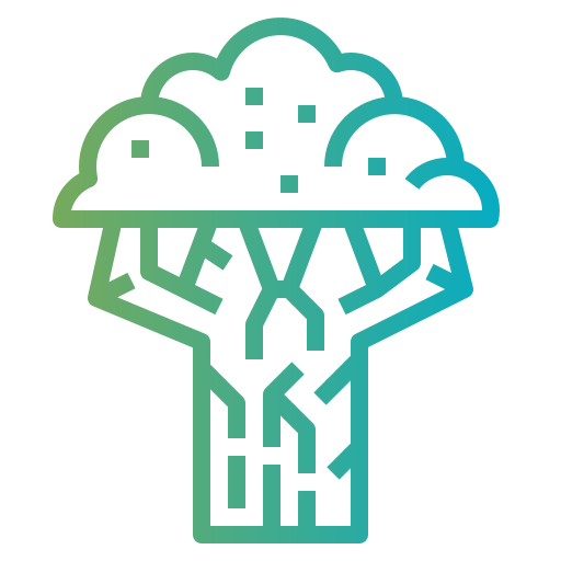 Beech icon
