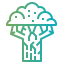 Beech icon 64x64