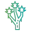 Joshua tree icon 64x64