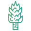 Juniper icon 64x64