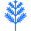 Dill icon 64x64