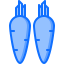 Carrot icon 64x64