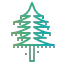 Larch icon 64x64